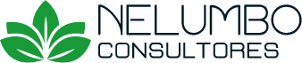 Nelumbo Consultores